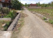 Pekon Parerejo Kecamatan Gadingrejo Kabupaten Pringsewu Realisasikan Dana Desa Tahap Awal Tahun 2025 Untuk Pembangunan Talut Penahan Tanah (TPT)