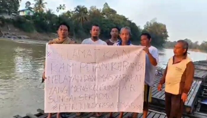 Petani Keramba Sekadau Menjerit Minta Perlindungan Presiden Prabowo dari Limbah Tambang Emas Ilegal