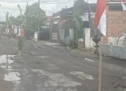 Warga desa Ngunut Menanam pohon pisang  di ruas jalan. Rusak