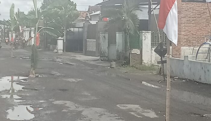 Warga desa Ngunut Menanam pohon pisang  di ruas jalan. Rusak